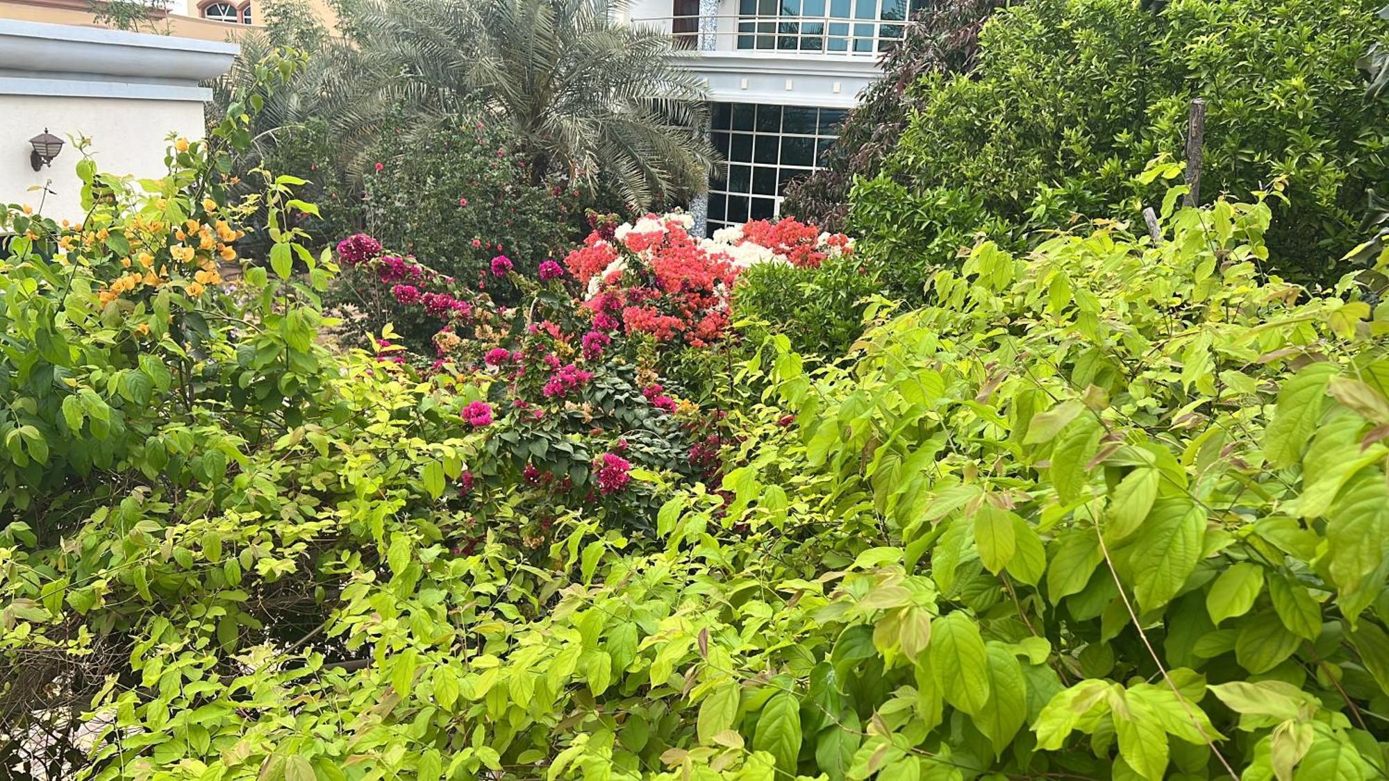Alhosani Property 阿布扎比 外观 照片